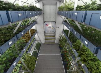 Osram LEDs to grow NASA’s food products