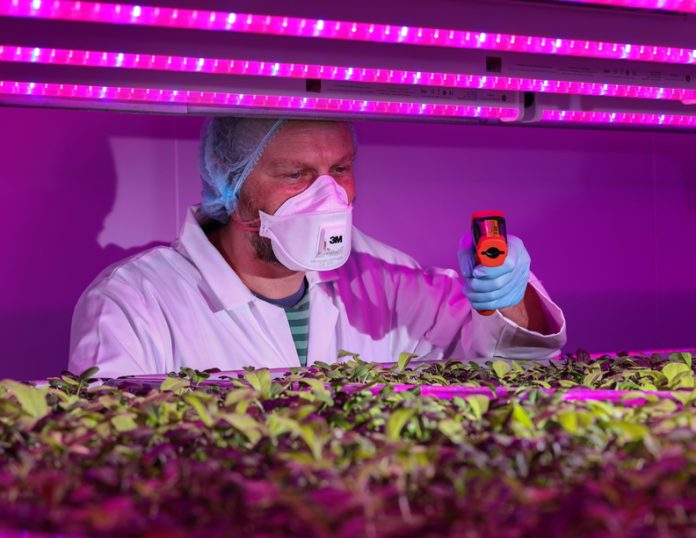 horticulturelighting-light-farming