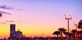 Turtle Friendly Coastal Lighting Protects Local Habitat And Promotes Sustainability Pg 8