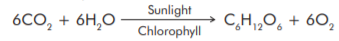Equation 1