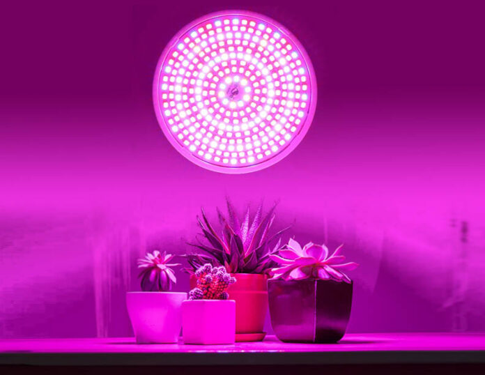 Led Horticulture Lighting