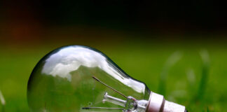 Signify Carbon Neutrality