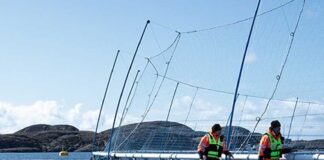 Signify Scaleaq Sustainable Aquaculture Solutions